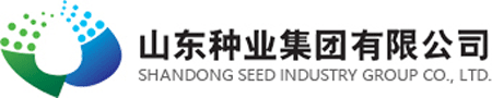 錦橋紡織網(wǎng)